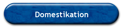 Domestikation